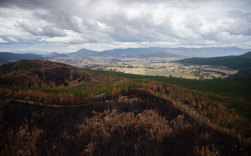 This aerial photograph shows the environmental damage from the Pierces Creek fire, which burned through Canberra’s west. Image: Marta Yebra